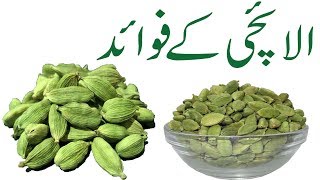 Elaichi khane ke fayde in urdu Green cardamom Health Benefits [upl. by Willdon]