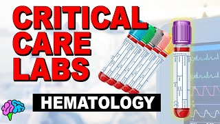 Hematology  Complete Blood Count CBC  Critical Care Labs [upl. by Nevi]