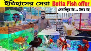 Aquarium Fish Price In katabon 2024🐠🐠 Aquarium Fish Price  Aquarium  AR Rahman aquarium 🐠🐠 [upl. by Boyden290]