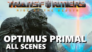 Optimus Primal  Rise of the Beasts All Scenes [upl. by Bourque]