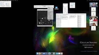 Introduction to using Fiji ImageJ [upl. by Kassaraba]