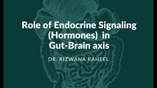 Role of Endocrine Signaling Hormones in GutBrain axis [upl. by Haceber]