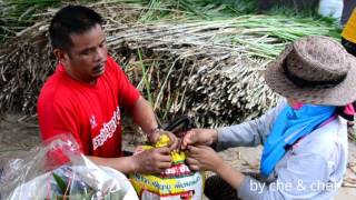 วิธีทำหญ้าหมักเนเปีย โดยใช้เครื่องดูดฝุ่นช่วย คิดค้นโดยพี่สุธี silage Thailand  Che Chef [upl. by Adekahs]