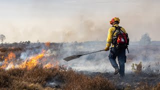 Die Heide brennt 🔥 Dokumentation  Die intensive Heidepflege in der Lüneburger Heide [upl. by Astera]