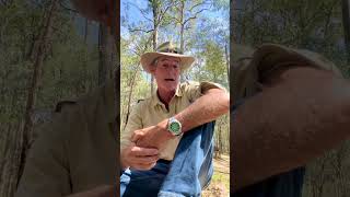 Can you tow a trailer with a kangaroo askanyaussie australia crocturnbull kangarooriding [upl. by Alaaj]