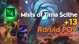 Were they right about Wildstalker all along  13 MIST  Restodruid POV  The War Within 1105 [upl. by Almond]