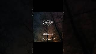 Surah Shamas Ayat1115 Urdu Translation beshak duet qurantilawathearttouchingvoice [upl. by Hammond429]