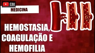 Hemostasia coagulação e hemofilia [upl. by Vivyanne980]