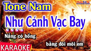 Karaoke Như Cánh Vạc Bay Tone Nam  Thái Tài [upl. by Troth]