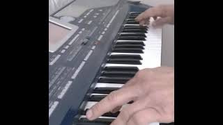 hicaz keman 1 korg pa800 [upl. by Nahtnhoj]