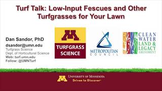 Turf Talk LowInput Fescues amp Other Turfgrasses for Your Lawn [upl. by Hung136]