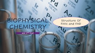 Structure Of FMN and FAD Flavin Mononucleotide  Flavin adenine Dinucleotide Biophysical Chemistry [upl. by Talanian]