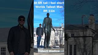 Worlds Tallest Man Robert Wadlow 8ft 11in 😱 The Short Version 👍 shorts tall [upl. by Cordy]