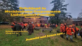 Drückjagd in MecklenburgVorpommern LudwigslustParchim  DrückjagdJournal Vlog  Folge 0323 [upl. by Blatman]