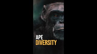 The Diversity Of Apes 🦍 [upl. by Burns]