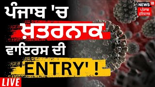 Horse Glanders virus  Punjab ਚ ਖ਼ਤਰਨਾਕ ਵਾਇਰਸ ਦੀ ENTRY   Punjab News  News18 Punjab Live [upl. by Eahsed678]