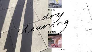 Dry Cleaning  New Long Leg Official Audio [upl. by Uhn]