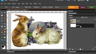 Photoshop Elements  Remove the background from clipart [upl. by Adnaram547]