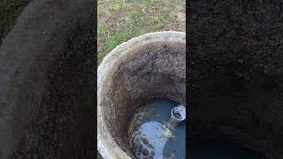 Got Roots In Your Septic Tank Lid There Are Two Ways To Fix This Issue plumbing home shorts [upl. by Alonso576]