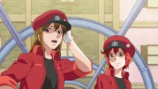 hataraku saibou episode 3 [upl. by Sapphira]