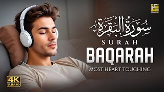 Surah Al Baqarah Full 4K سورة البقره  HEART TOUCHING RECITATION  Zikrullah TV [upl. by Glaser]