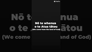 Aotearoa  Stan Walker lyrics  English translation [upl. by Ocimad]