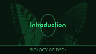 Biology of DSDs Introduction [upl. by Kcerred]