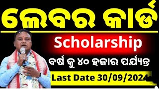 ODISHA LABOUR CARD SCHOLARSHIP APPLY FOR ALL STUDENTS 2425  ODISHA SCHOLARSHIP PORTAL [upl. by Sankey]