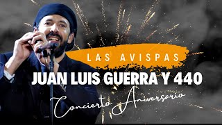 Las Avispas  Juan Luis Guerra 440  Concierto Aniversario En Vivo desde el Estadio Olímpico [upl. by Esikram729]