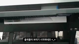 엡손 플로터 추천 Epson SureColor SCP9000 프린터엡손 슈어칼라 SCP9000 노즐 및 출력 테스트 영상 [upl. by Elylrac]