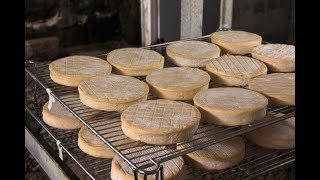 Ferme du Saichy Vosges amp Munster Fermier  La Communauté Des Fromages [upl. by Assiled543]