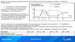 Correction exercice  SVT  Le tissu nerveux 🔴 [upl. by Sisely]