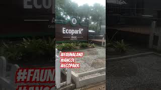 FAUNA LAND  ECOPARK ANCOL story arrumistory shorts faunaland ecopark ancol [upl. by Pretrice]