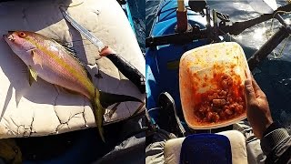 Key West Kayak Cooking  Yellowtail Ceviche quick recipe and a Snapper Limit [upl. by Figge]