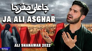 Ja Ali Asghar  Ali Shanawar  2022  1444 [upl. by Ynnatirb]