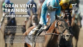 Remate en Vivo  RACEHORSE ARGENTINA [upl. by Thorr]