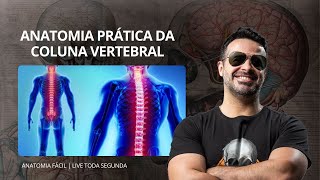 AO VIVO ANATOMIA PRÁTICA DA COLUNA VERTEBRAL  anatomiafacil [upl. by Kathe]