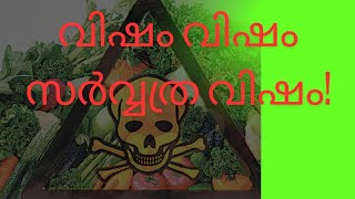 നിത്യേന നാം കഴിക്കുന്ന പച്ചക്കറികളിലെ വിഷം ശതമാണ കണക്കിൽ [upl. by Afnin]