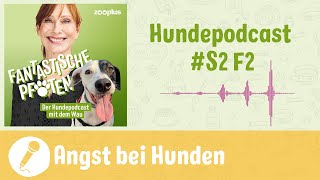 Wenn Hunde Angst haben  zooplus Hundepodcast  S2 F2 [upl. by Asel]