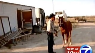 Man Films Horse Killing to Send Message to Activists [upl. by Holladay]