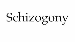 How to Pronounce Schizogony [upl. by Enid922]