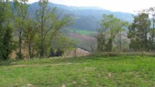 New vipassana center Italy [upl. by Ahsieyk696]