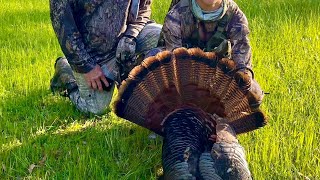 2024 turkey season [upl. by Karlee]