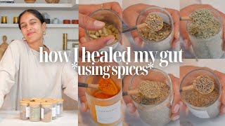 5 SPICES THAT HEALED MY GUT  natural remedies for better digestion [upl. by Itsim]