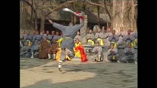 Shaolin Broadsword  Dan Dao Form  Martial Arts Kung Fu [upl. by Dickinson]