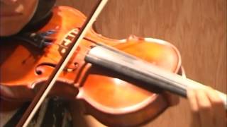 Violin21 after Plate Tuning [upl. by Ettener]