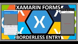 Xamarin Form Borderless Entry [upl. by Ardekahs]