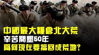 中國最大糧倉北大荒，辛苦開墾50年，爲何現在要搞回成荒地？ [upl. by Sone]