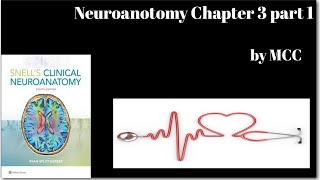 Neuroanotomy chapter 3 part1NervesMyelination processPeripheral nervesSensoryAutonomic ganglie [upl. by Eanej756]