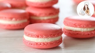 How to make Macarons  Perfect Macaron Recipe [upl. by Hailat]